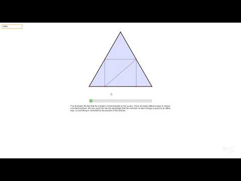 Simplicial complexes