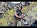 DOUBLE DOWN   -   Oregon Mule Deer Hunt