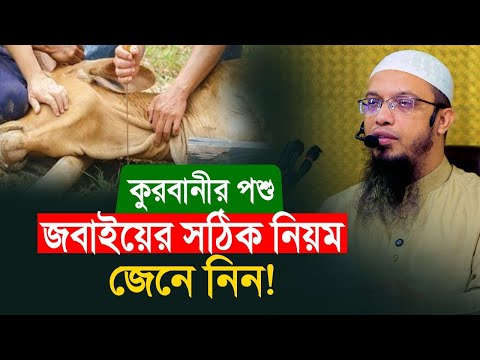 কুরবানীর পশু জবাইয়ের সঠিক নিয়ম জেনে নিন!