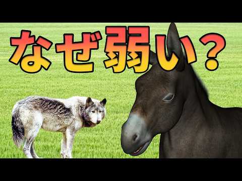 最も単純な多細胞動物の家系図