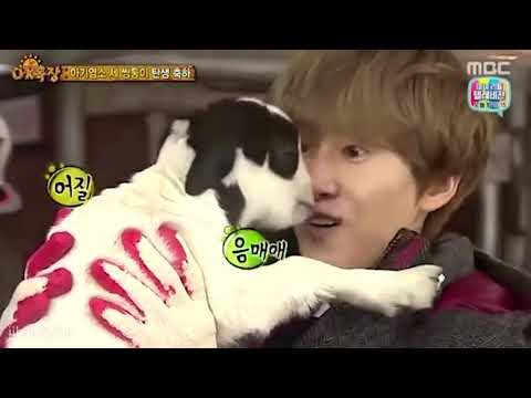 eunhyuk being cute with a sheep 🐑 🥺💙💍