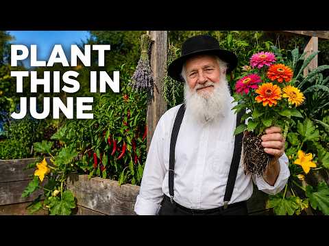 Every Perennial Food Plant the Amish Grow in June — Double the Yield, No Replanting, No Irrigation