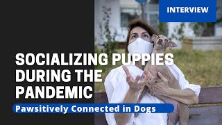 Socializing Puppies During The Pandemic
