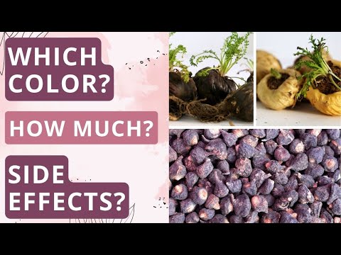 Top Things to Know Before Using Maca Powder | Maca Root Benefits (Menstrual Cycle, Menopause + More)