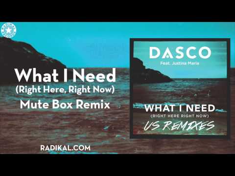 DASCO - What I Need (Right Here, Right Now) Mute Box Remix