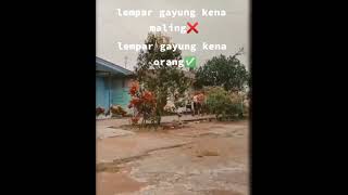 Download lagu asli lucu vidio salah lempar ke maling malah kena orang 😂🤣😆 mp3