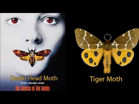 Claremont Serial Killer. "Tiger Moth"