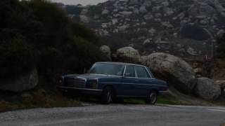 THIS SPACE - WOOLFY VS.  PROJECTIONS