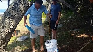 preview picture of video 'Catching deadly snake with bare hands: puff adder (Storms River Mouth, Tsitsikamma)'