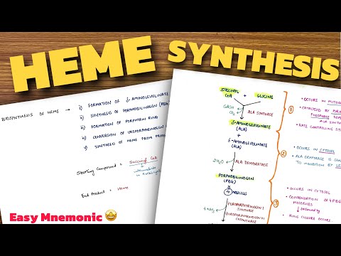 Heme Synthesis Pathway | Easy Mnemonic | Biochemistry