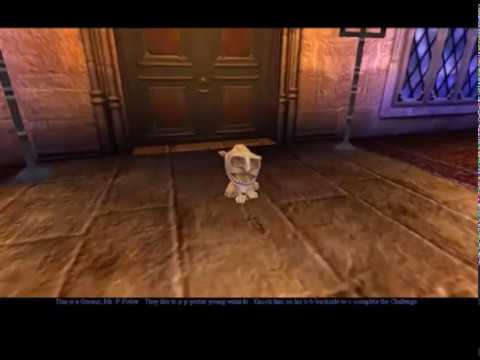 Harry Potter and the Philosopher's stone PC game - Gnome theme (extended)