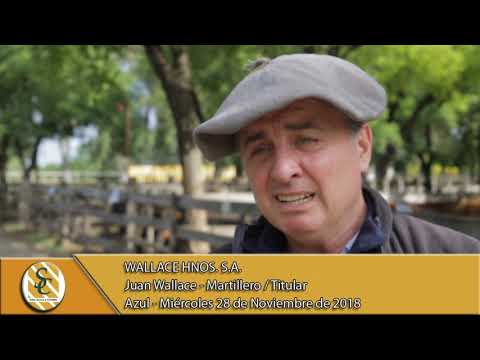 28-11-18 Nota Juan Wallace - Martillero / Titular - Wallace Hnos. S.A. - Azul