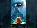 Gautam Buddha WhatsApp Status Lord Buddha Morning Status Dhamma Sakal Status