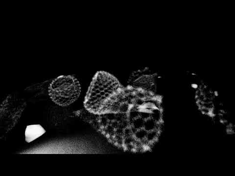 ヘッケル・スプメラリア