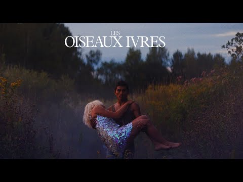 afbeelding Oiseaux Ivres, Les