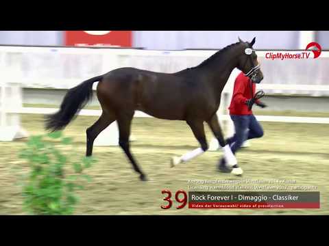 39 Junghengst v. Rock Forever - Dimaggio