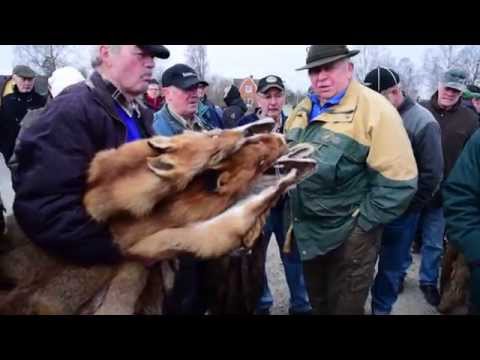 Skinnauktion i Lönsboda