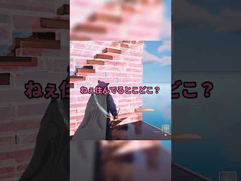 キッズに住んでるとこを聞き出そうとする女【Fortnite】