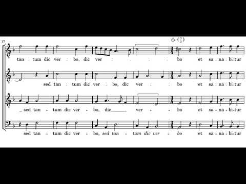 Victoria: Domine non sum dignus - Plus Ultra