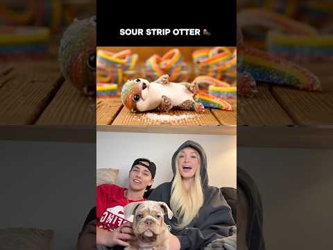 omg… pick only ONE candy pet @courtney33nelson  #xyzbca #viral #shorts #fyp creator: sarahsatisfy