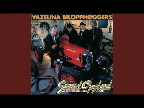 Stor Sølvgrå Lastebil - Vazelina Bilopphøggers
