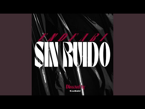 Sin Ruido