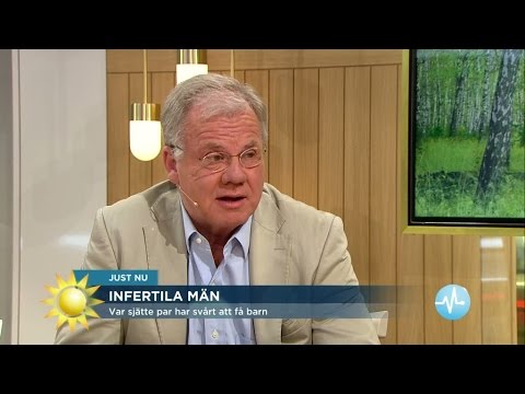 Var sjätte par har svårt att få barn - Nyhetsmorgon (TV4)