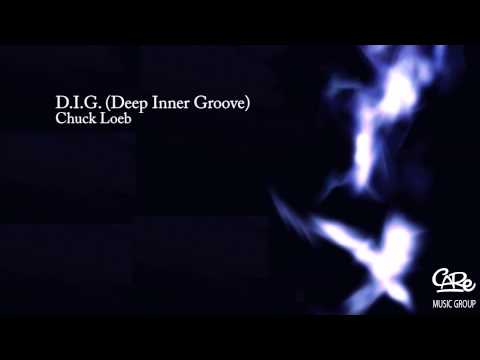 Chuck Loeb - D. I. G. (Deep Inner Groove)