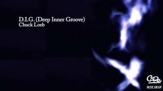 Chuck Loeb - D. I. G. (Deep Inner Groove)