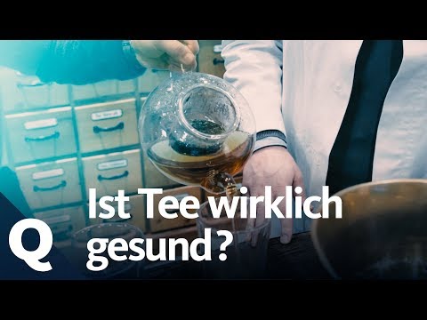 Sounds paradoxical: Tea is poisonous and healthy at the same time | Quarks