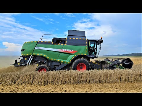 Fendt 6335 C Mähdrescher bei der Weizenernte im schönen Bayernland!