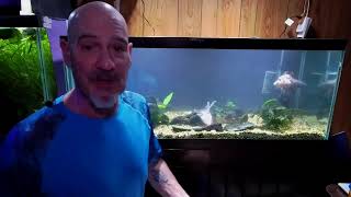 75 Gallon Tank Swap w/ Steve