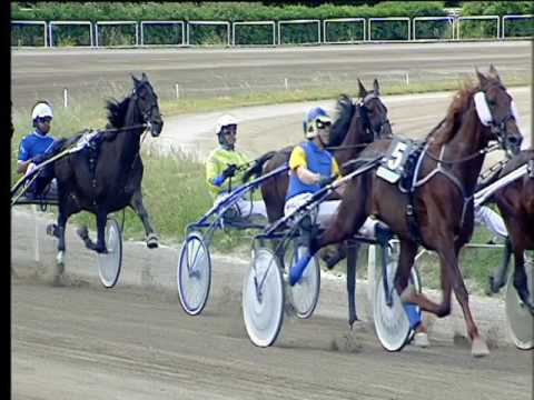 Trotto 26/05/2017 - 1ª corsa