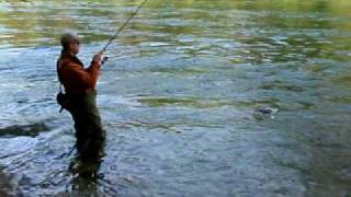 preview picture of video 'Gregor catching brown trout in upper austria river Traun'