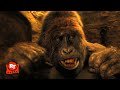 Dolittle 2020 Gorilla Vs Tiger
