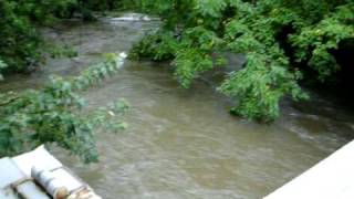 preview picture of video 'Chicago River Flooding 2008 - Albany / North Park'