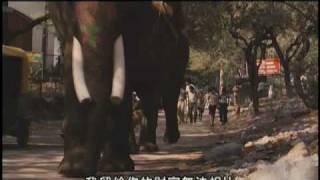 [請益] 有推薦的印度感性電影嗎