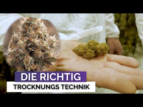 , title : 'Die richtige Trocknung | Growmotion'