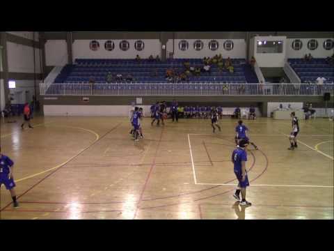 Goleiro de Handebol E.C.P