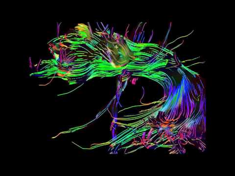 Biophotons   Deceptive Egos