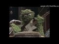 STEREO RECONSTRUCTION Yakety Yak Oscar The Grounch