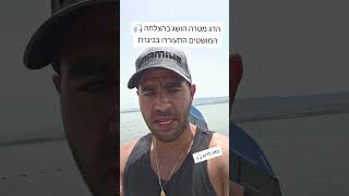 המושטים התעוררו ויש דיג טוב בכינרת