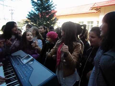 Scoala Generala ,,George Uscatescu'' Tg Carbunesti