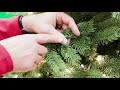 Fix Lights On A Christmas Tree - Ace Hardware Fix Lights On A Christmas Tree - Ace Hardware