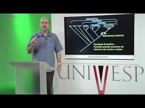 Morfologia Vegetal  - Aula 01 - Organização Geral do Corpo Vegetal