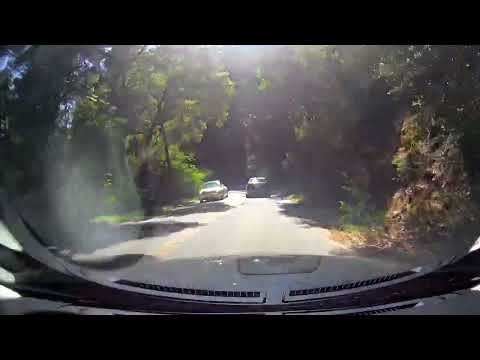 Mau5trap 196 (Wenzday Guestmix) 06 23 2022 Deadmau5