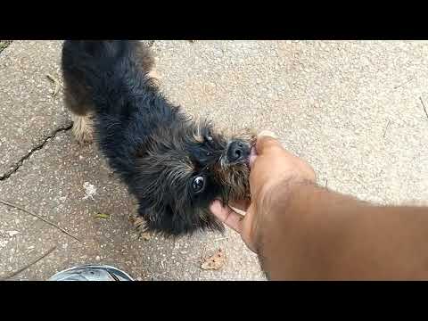 Trabalho de Campo de Geografia: o espaço do cidadão e organização espacial na cidade de São Paulo