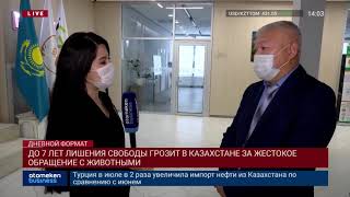 ДО 7 ЛЕТ ЛИШЕНИЯ СВОБОДЫ ГРОЗИТ В КАЗАХСТАНЕ ЗА ЖЕСТОКОЕ ОБРАЩЕНИЕ С ЖИВОТНЫМИ