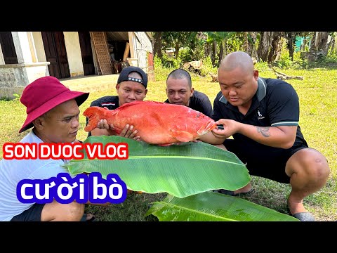 Cá Mú Đỏ 6kg Nấu Cháo Và Làm Gỏi Sống Siêu Ngon | SON DUOC VLOG