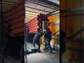 Труба 110х0,5 (3,2мм) SN8 наружная АКВЕР